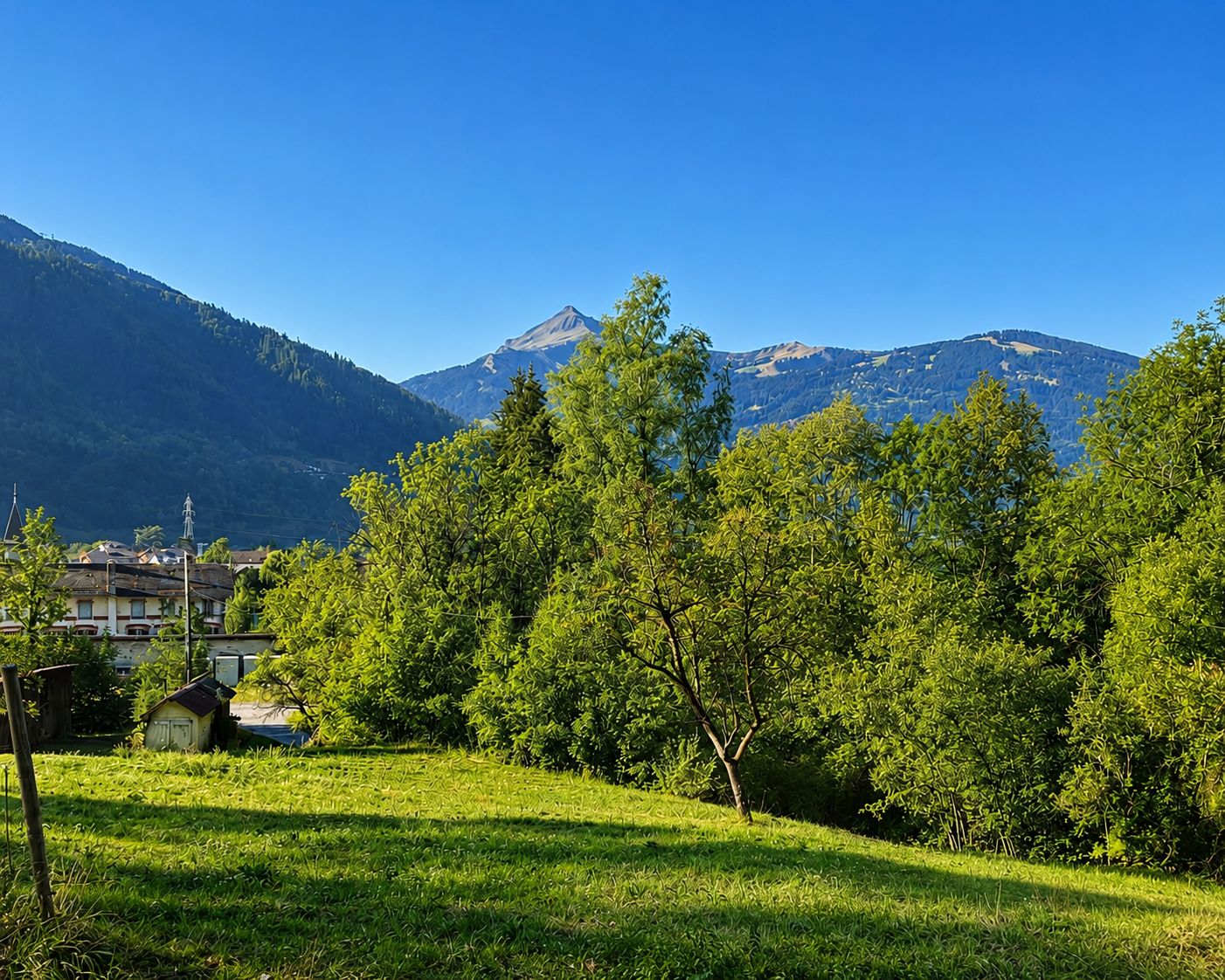 A grassy field with trees and a mountain in the background.