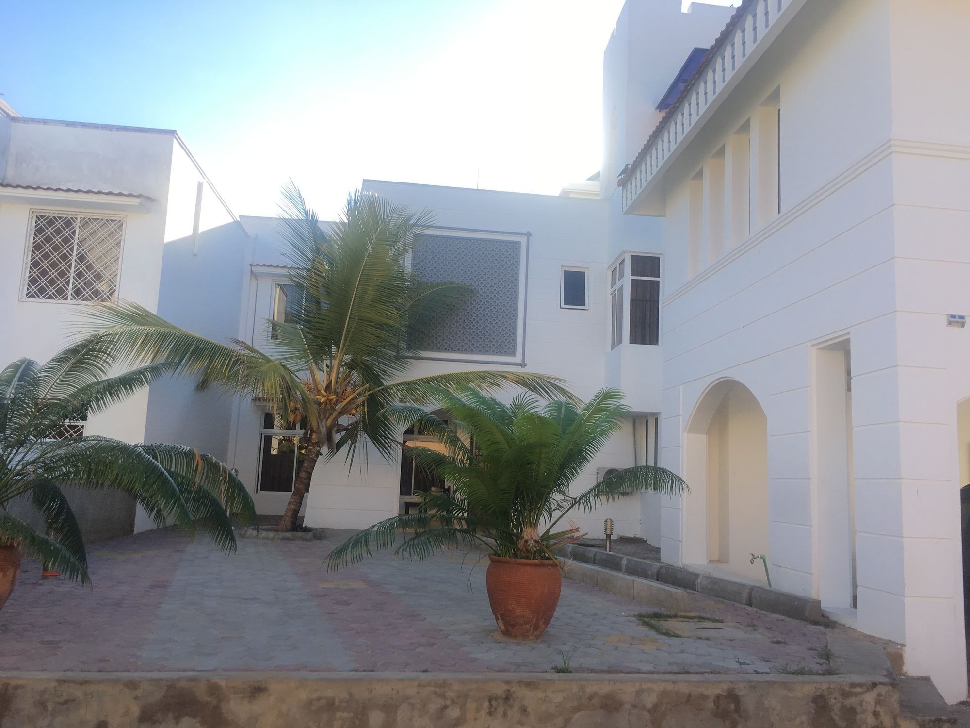 A courtyard with potted palm trees, a white building with a balcony, and a clear sky.
