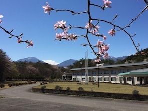 A building with a green roof, surrounded by a landscaped area with a clear sky and mountains in the background. - Nikko Tousyougu Kouyouen (Nikko)