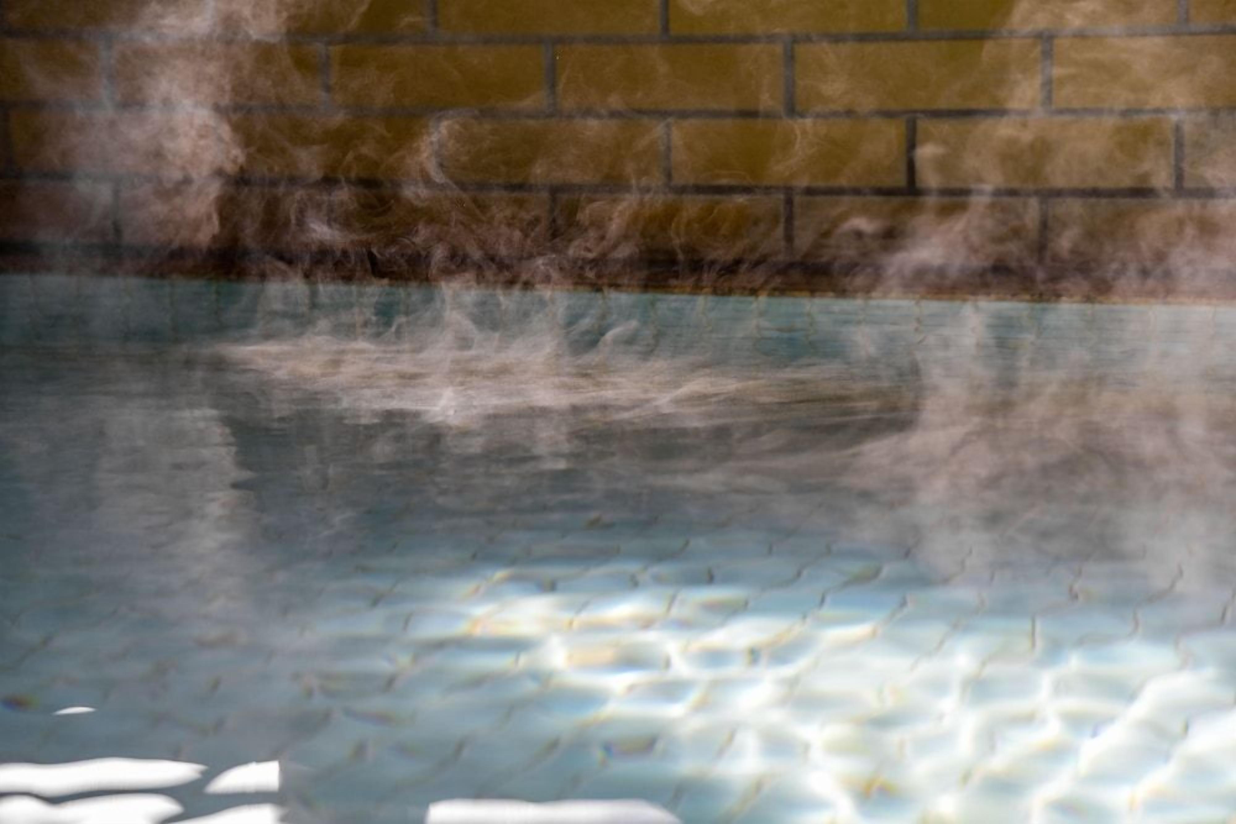 A pool with a brick wall in the background.