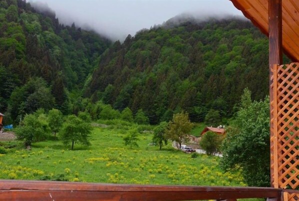 Unclassified image, 1 of 35, button - Kuzey Suites (Çaykara)