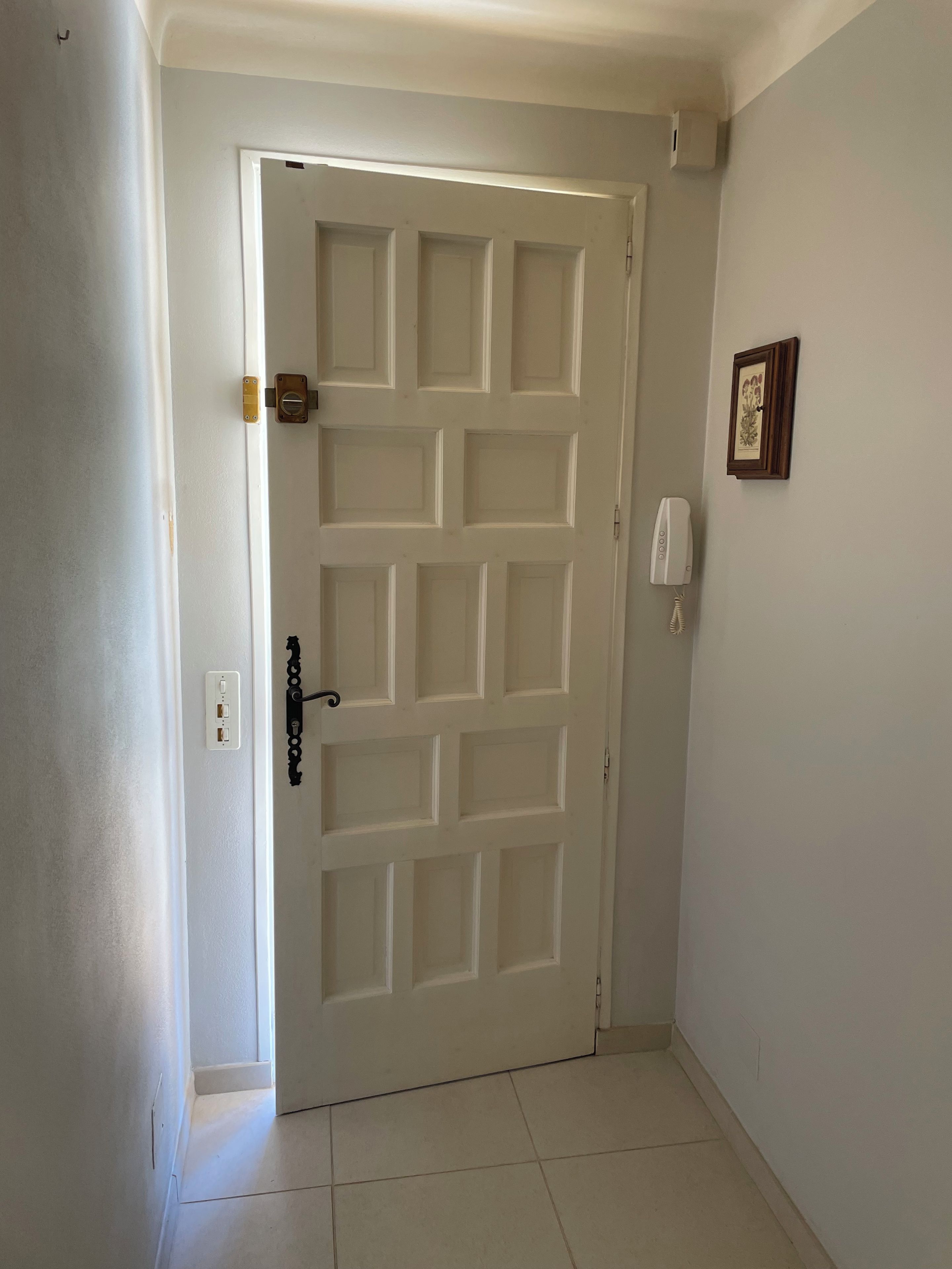 A closed door with a simple latch, a wall-mounted light switch, and a framed picture on the wall.