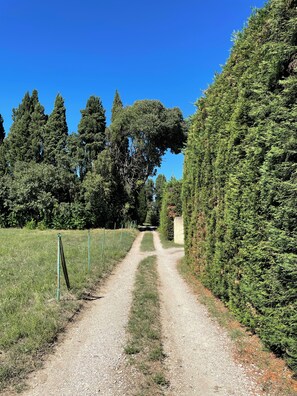 Unclassified image, 3 of 25, button - Vrbo Property (Saint-Rémy-de-Provence)
