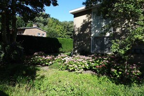 Een woonwijk met een huis, een tuin met hortensia's en een gebouw met een raam en airconditioning.