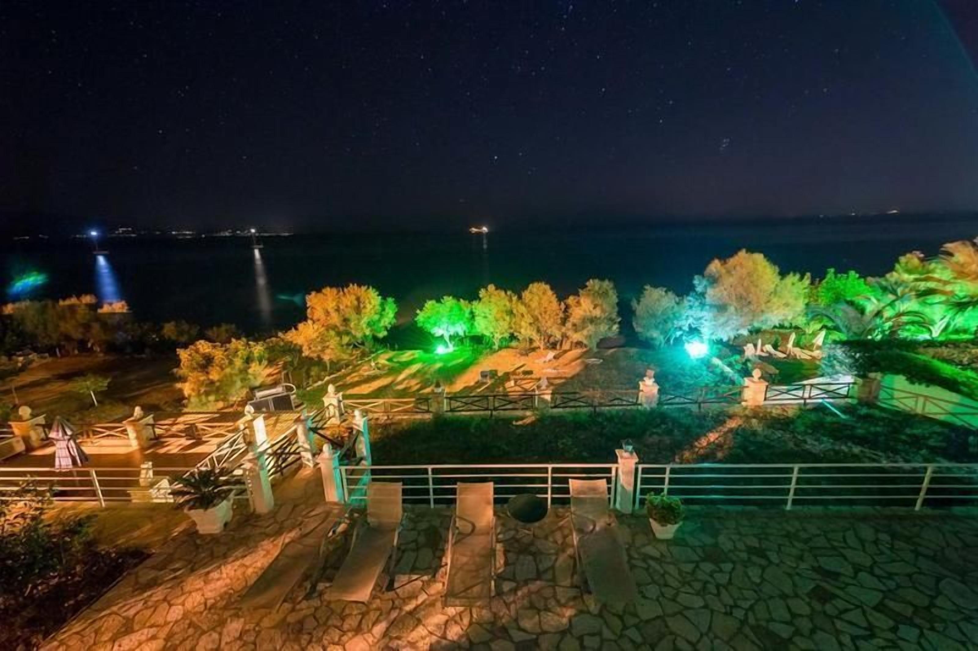 Une vue nocturne d’un parc avec un sentier en pierre, des arbres illuminés de lumière verte et une étendue d’eau en arrière-plan.