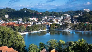 Unclassified image, 3 of 10, button - The Hope Corner (Kandy)