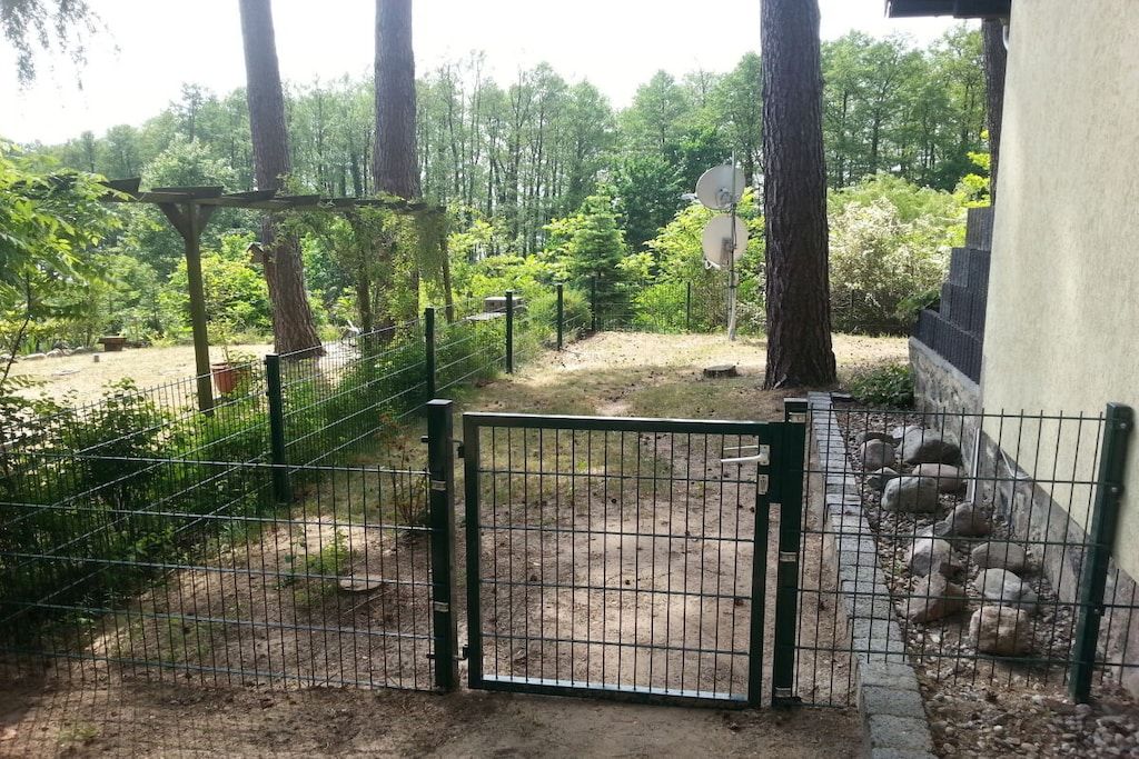 Ein eingezäunter Außenbereich mit Bäumen und einem Feldweg.