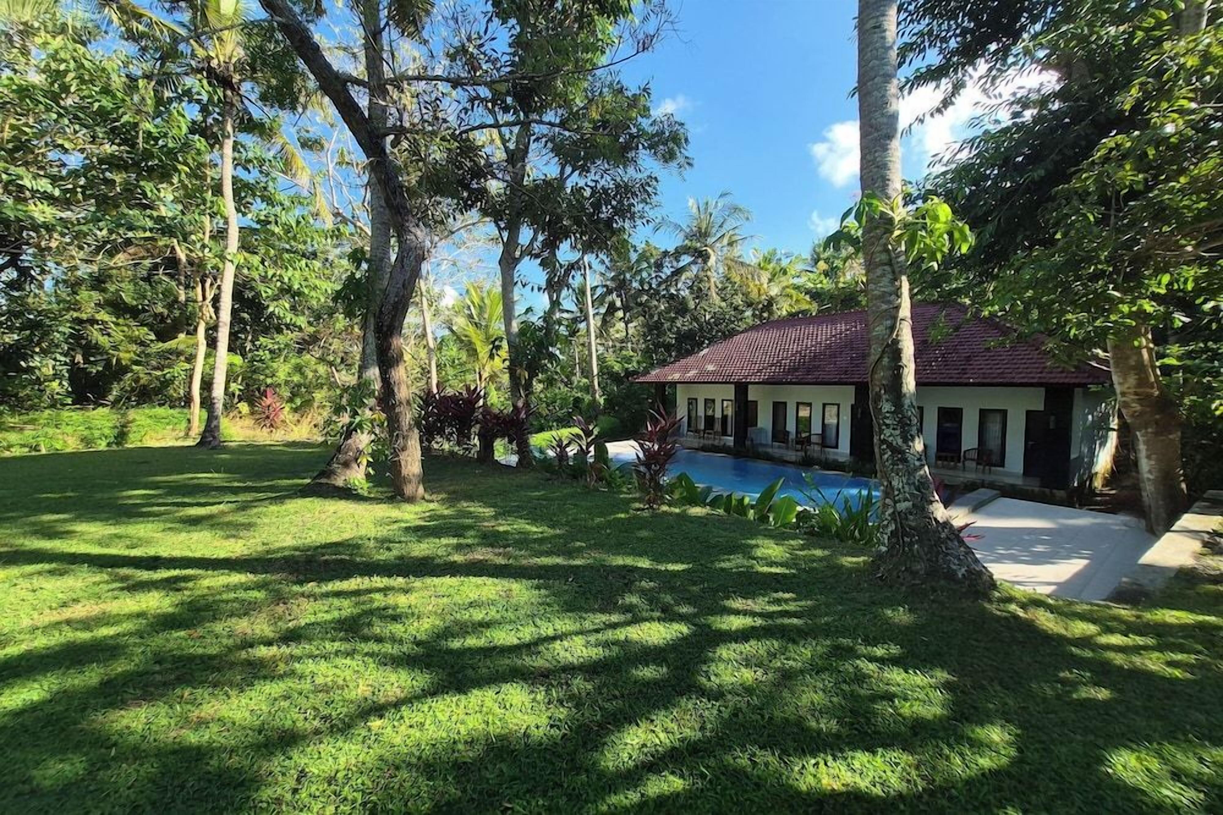 Una casa con piscina rodeada de exuberante vegetación y árboles altos.