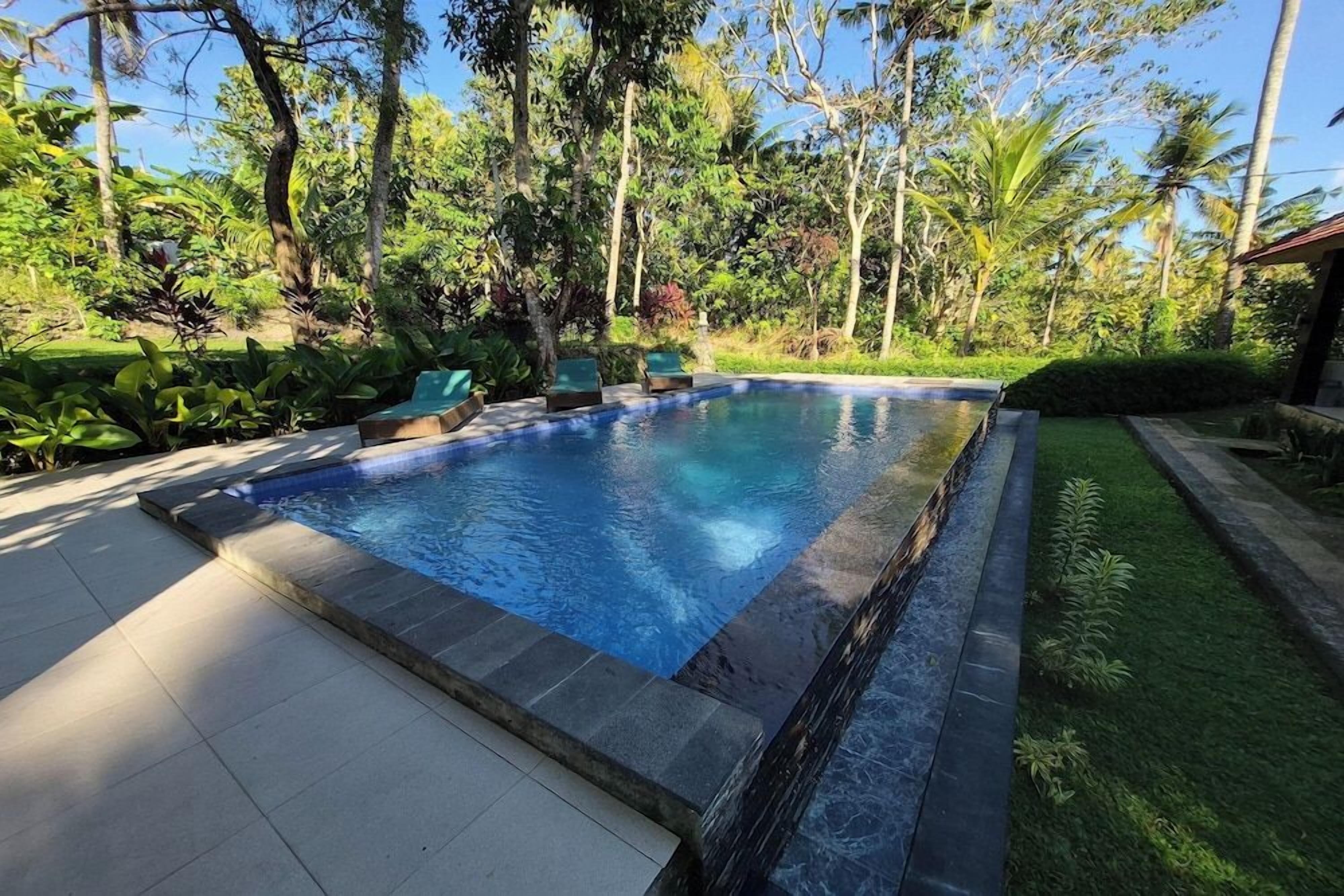 Una piscina rectangular con borde de azulejos, rodeada de abundante vegetación y árboles.