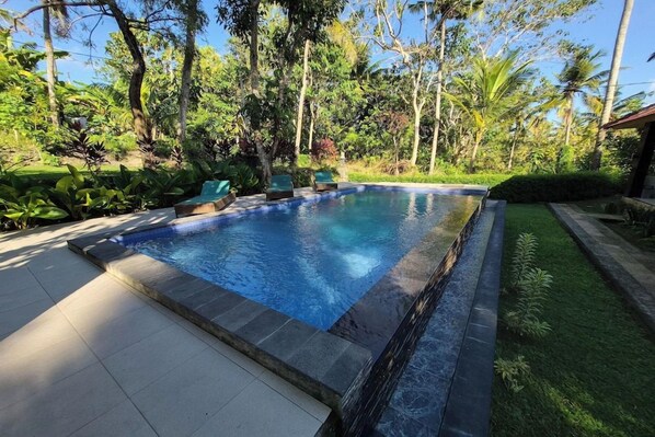 Une piscine rectangulaire bordée de carreaux, entourée d’une végétation luxuriante et d’arbres.