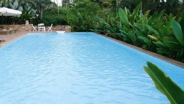 Una piscina rectangular con superficie azul cristalina, rodeada de abundante vegetación y un muro de piedra.
