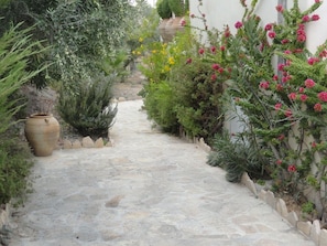 Un sendero de piedra bordeado por plantas diversas y una maceta grande.