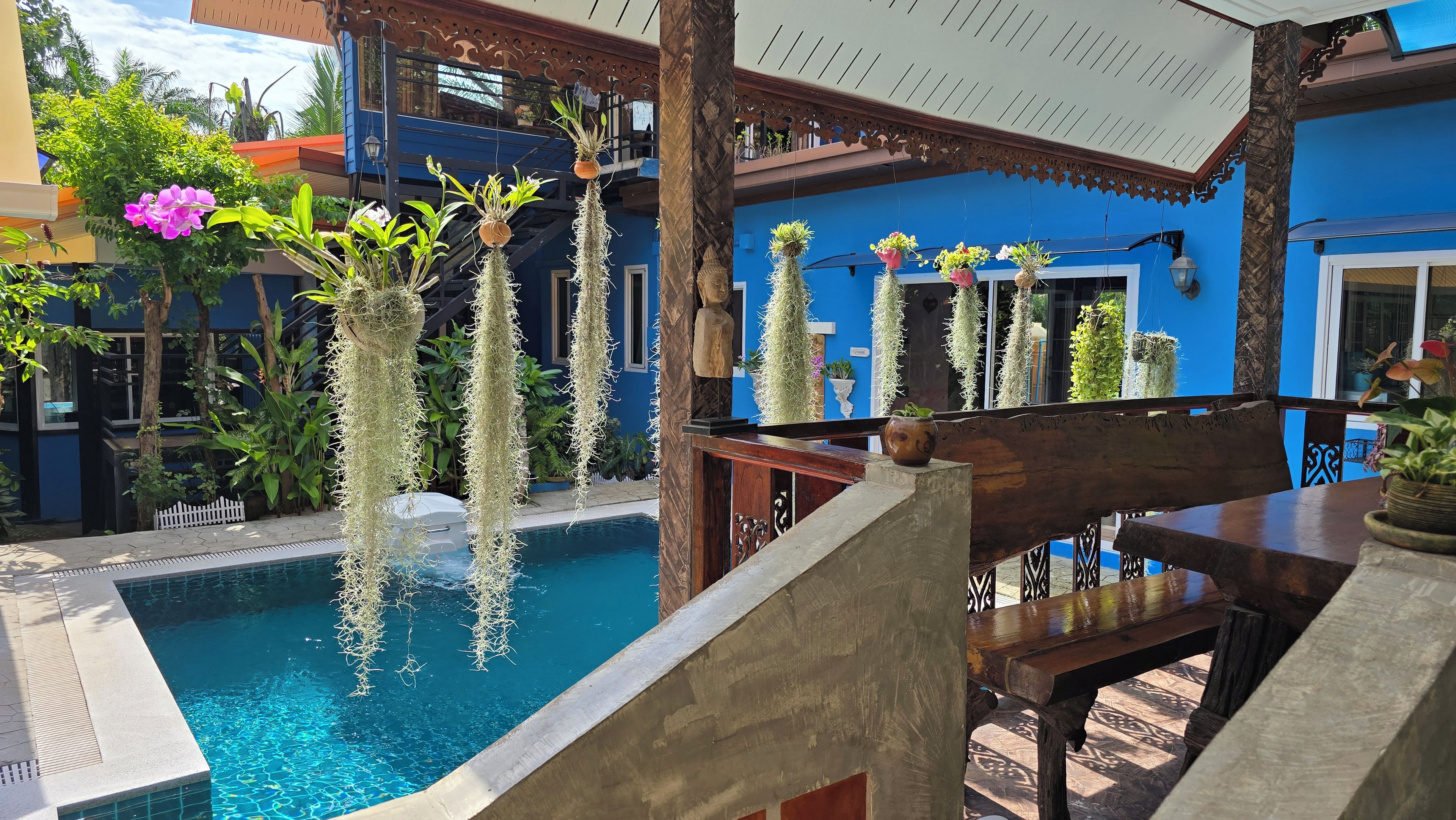 A pool area with hanging plants and a wooden bench.