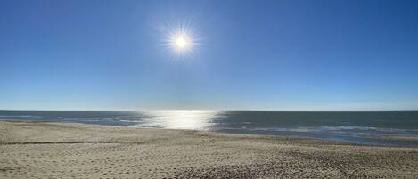 A beach with a clear sky and the sun shining.