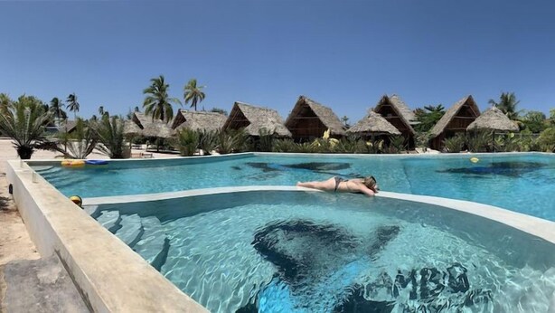 A swimming pool with a person in the water, surrounded by thatched-roof structures and palm trees. - Jambo Beach Bungalows - Hostel (Paje)
