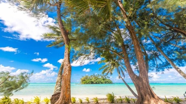 A beach with palm trees and a clear blue sky. - Muri Lagoon Villa (Rarotonga)