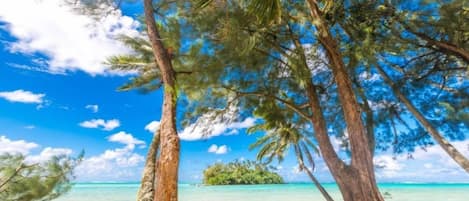 Una playa con palmeras y un cielo azul despejado.