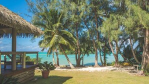 Property grounds - Muri Lagoon Villa (Rarotonga)