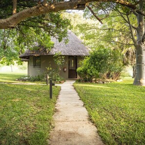 A thatched-roof building with a paved pathway leading to the entrance. - Nyala Safaris (Hoedspruit)