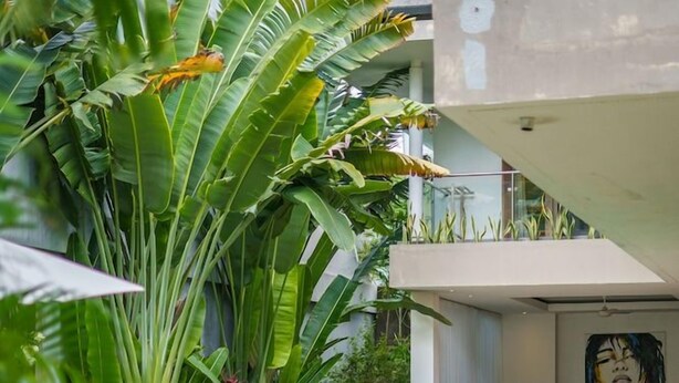 Unclassified image, 1 of 59, button - Villa Paloma (Seminyak)