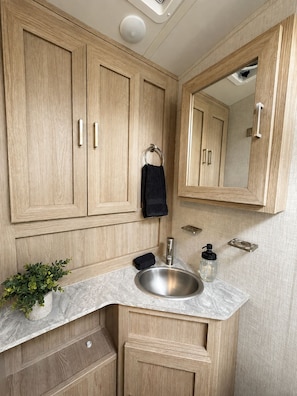 Une salle de bain avec des meubles en bois, un lavabo, un miroir et une petite plante.