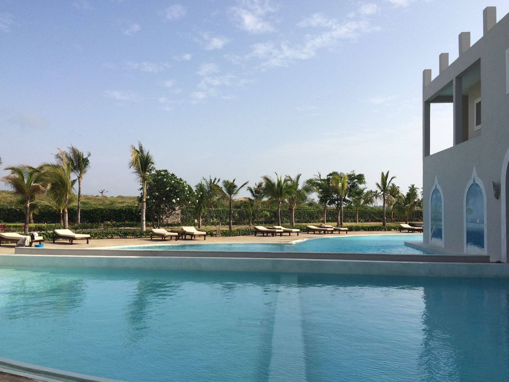 A swimming pool with lounge chairs and palm trees.