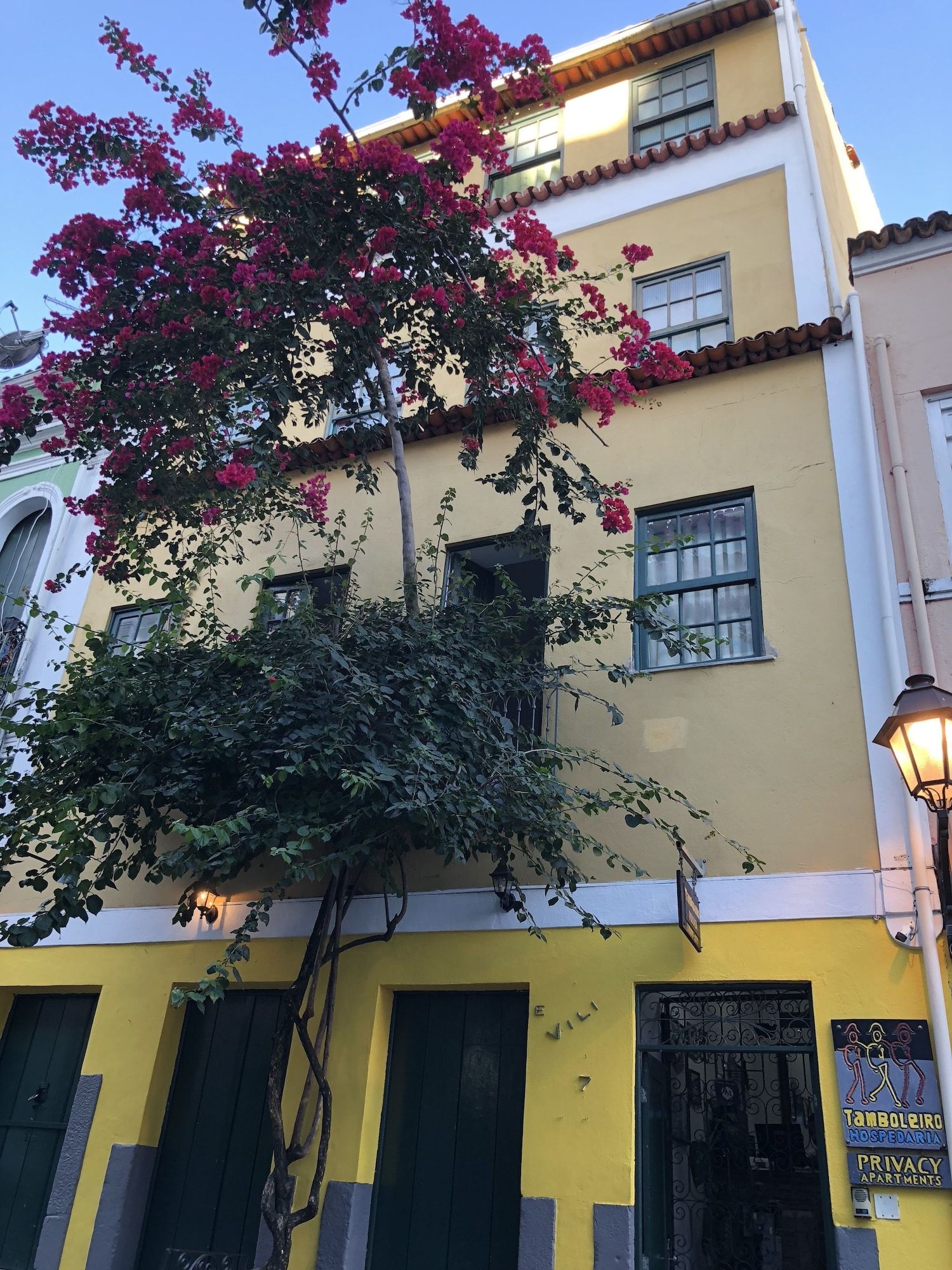 A building with a yellow facade, multiple windows, and a tree with pink flowers.
