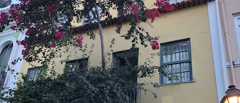 A building with a yellow facade, multiple windows, and a tree with pink flowers.