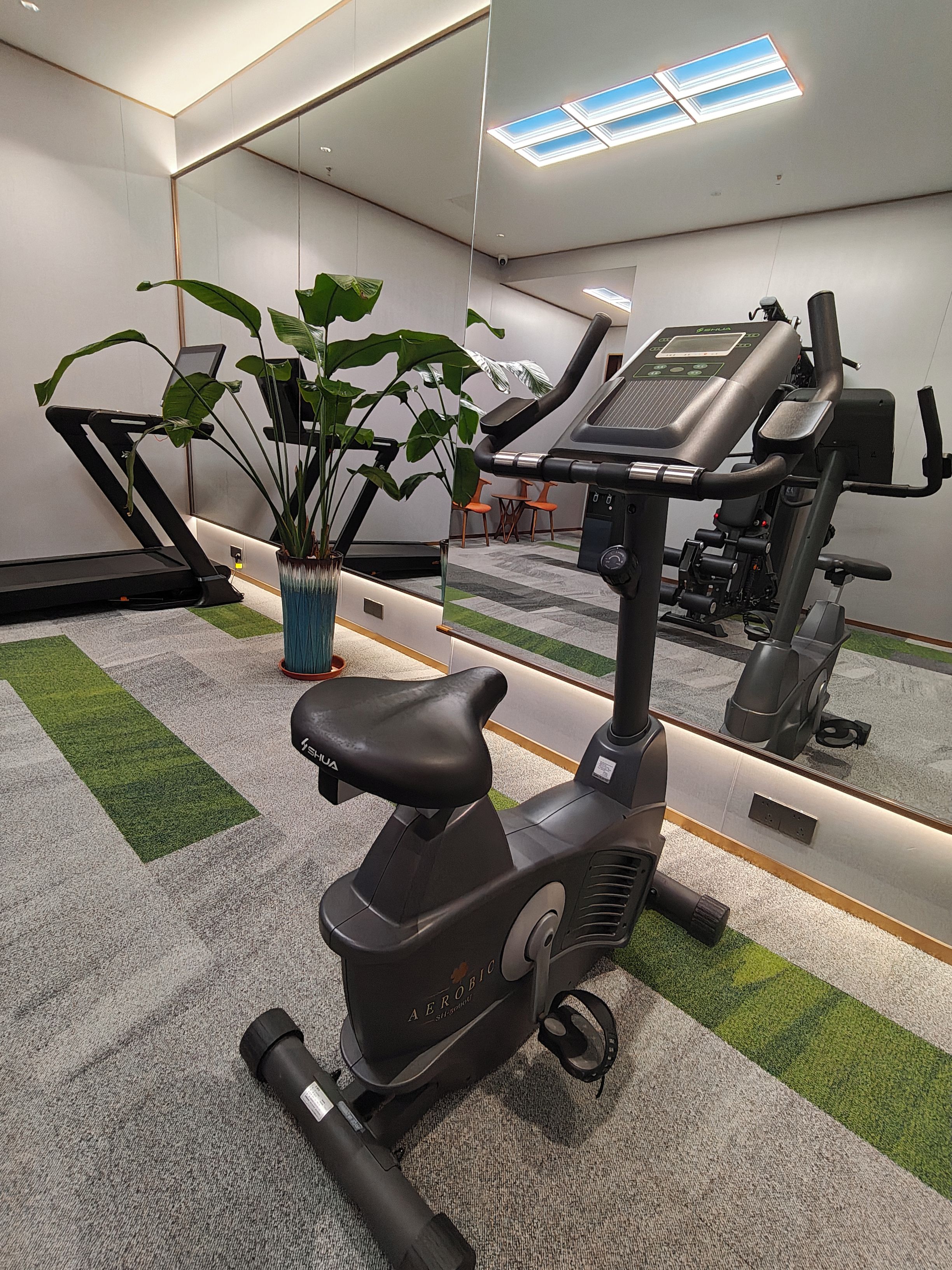 An indoor gym with exercise equipment, a potted plant, and a mirror reflecting the space.