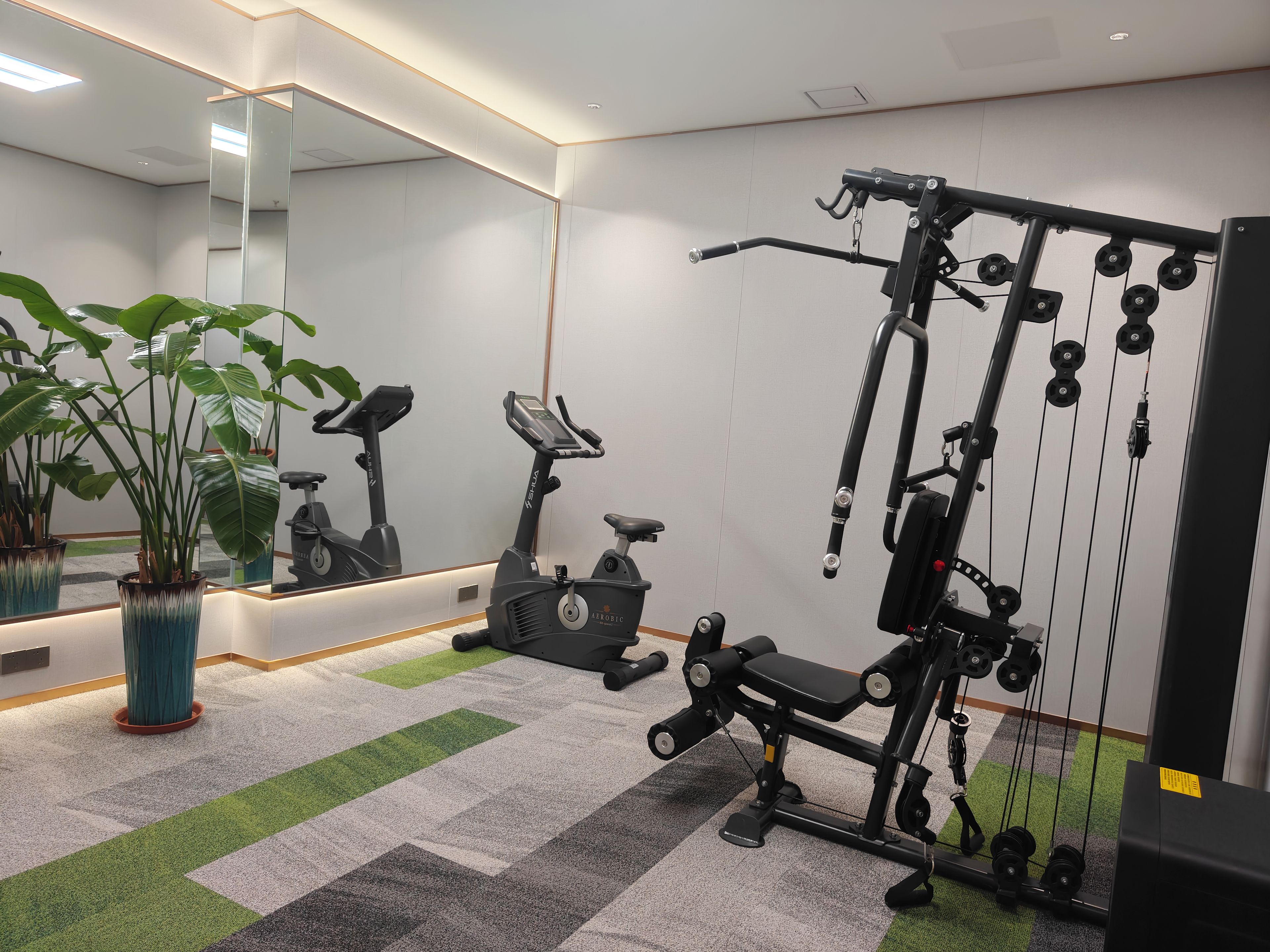 Gimnasio