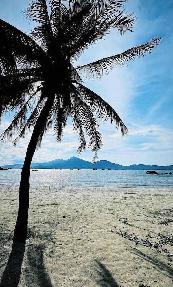 Une plage avec un palmier et une montagne en arrière-plan.