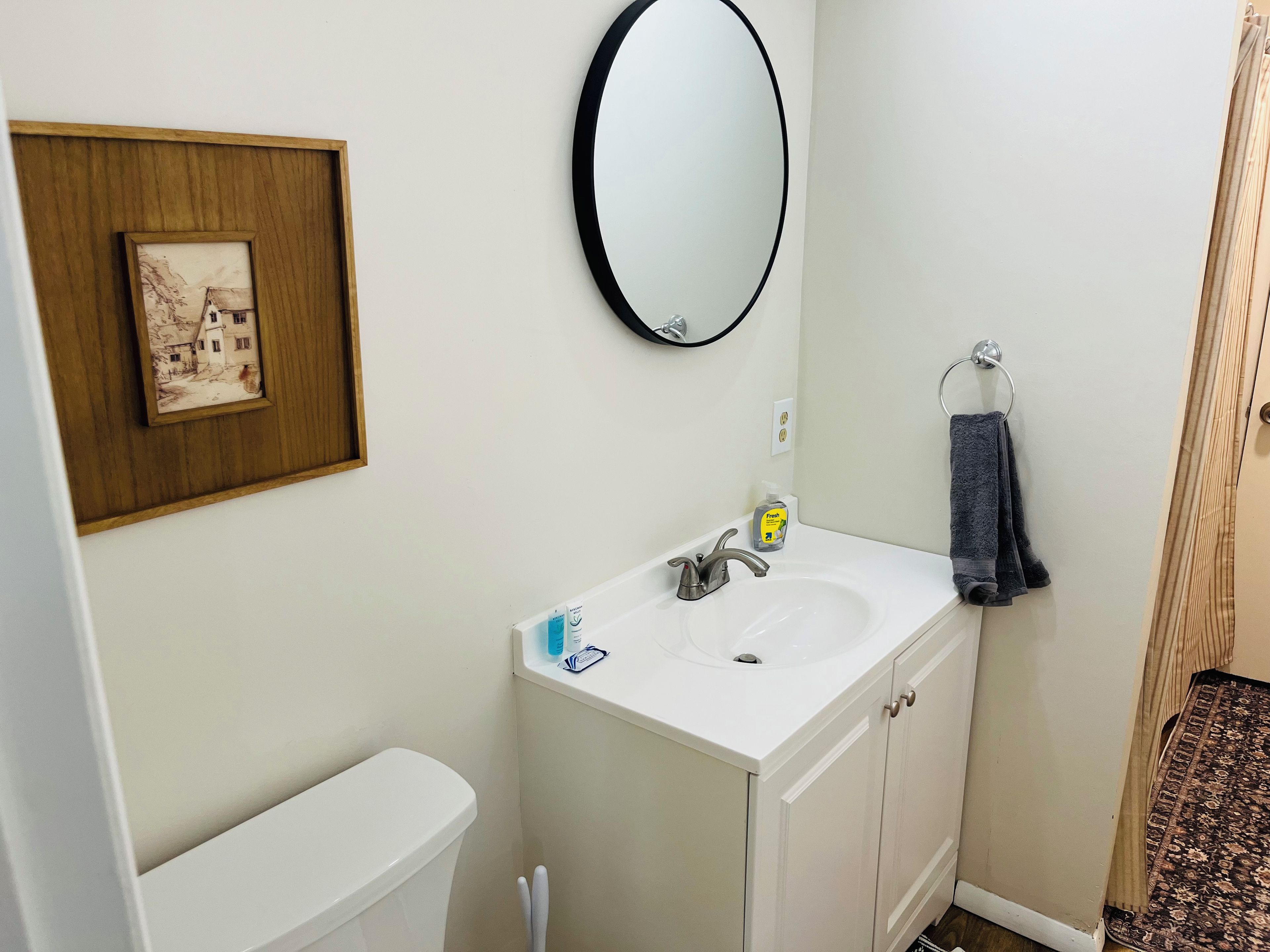 A bathroom with a white sink, a mirror, a framed picture, and a towel rack.