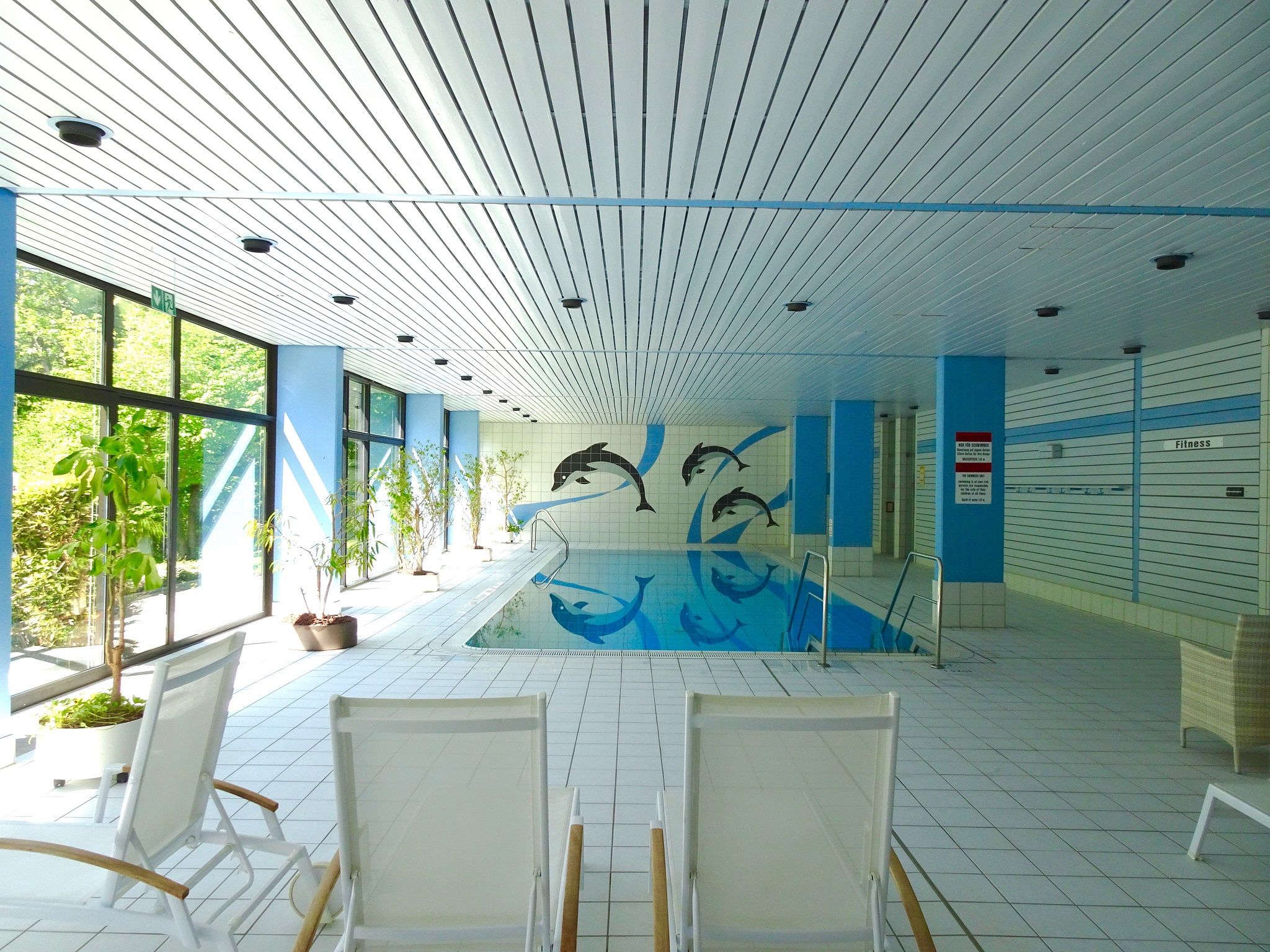 An indoor swimming pool with dolphin murals, white chairs, and a blue and white color scheme.