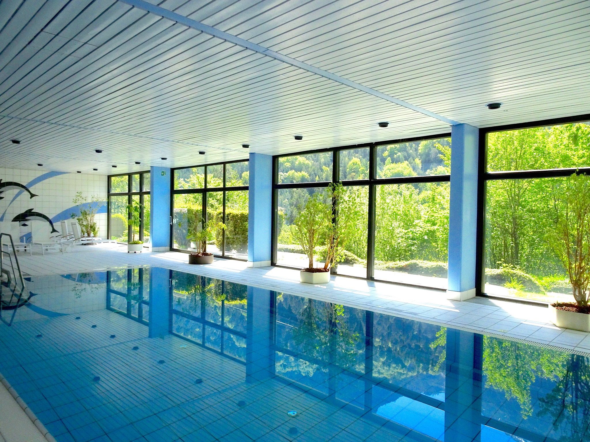En inomhuspool med väggar av genomskinligt glas, krukväxter och ett kaklat golv.