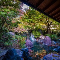 Um jardim tranquilo com um lago calmo, pedras e vegetação exuberante sob uma ponte de madeira.