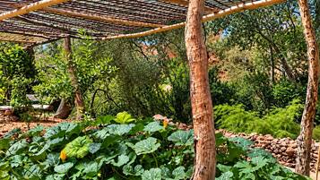 A garden with a pergola structure, green foliage, and a rocky terrain.