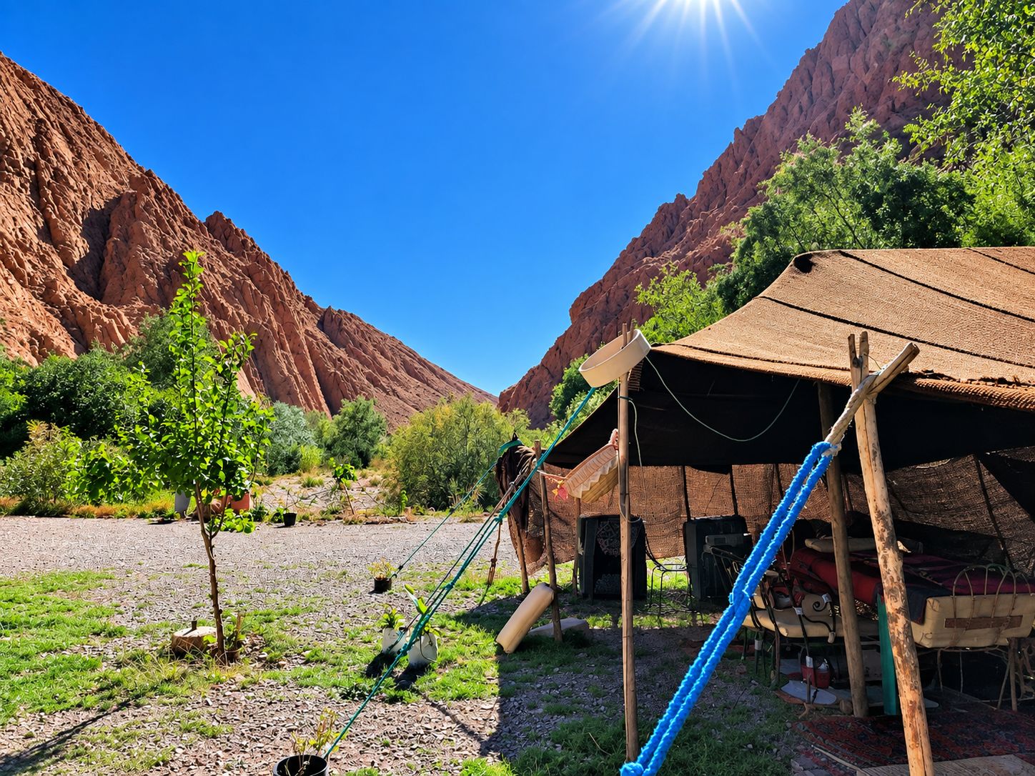A rustic outdoor setting with a thatched-roof structure, a hammock, and a small garden area.
