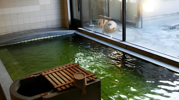 Pool - Tsukioka Onsen Yuasobi Yado Akebono (Shibata)