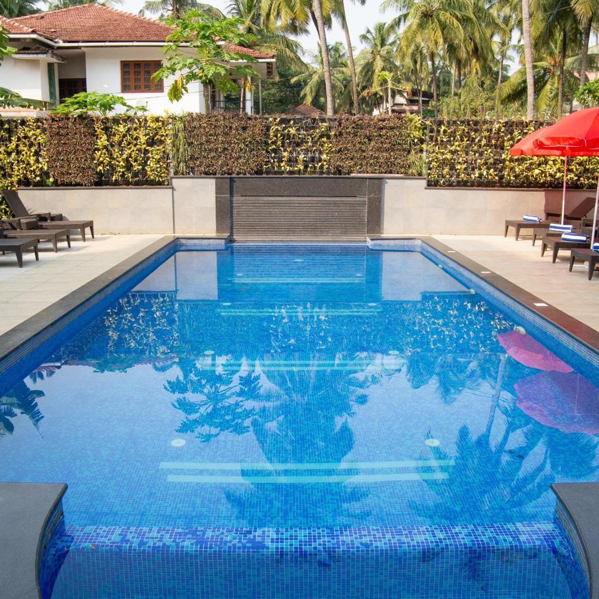 A clear swimming pool with a tiled edge, surrounded by lounge chairs and a palm tree in the background.