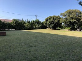 Un espacio al aire libre con césped, árboles y un edificio en el fondo.