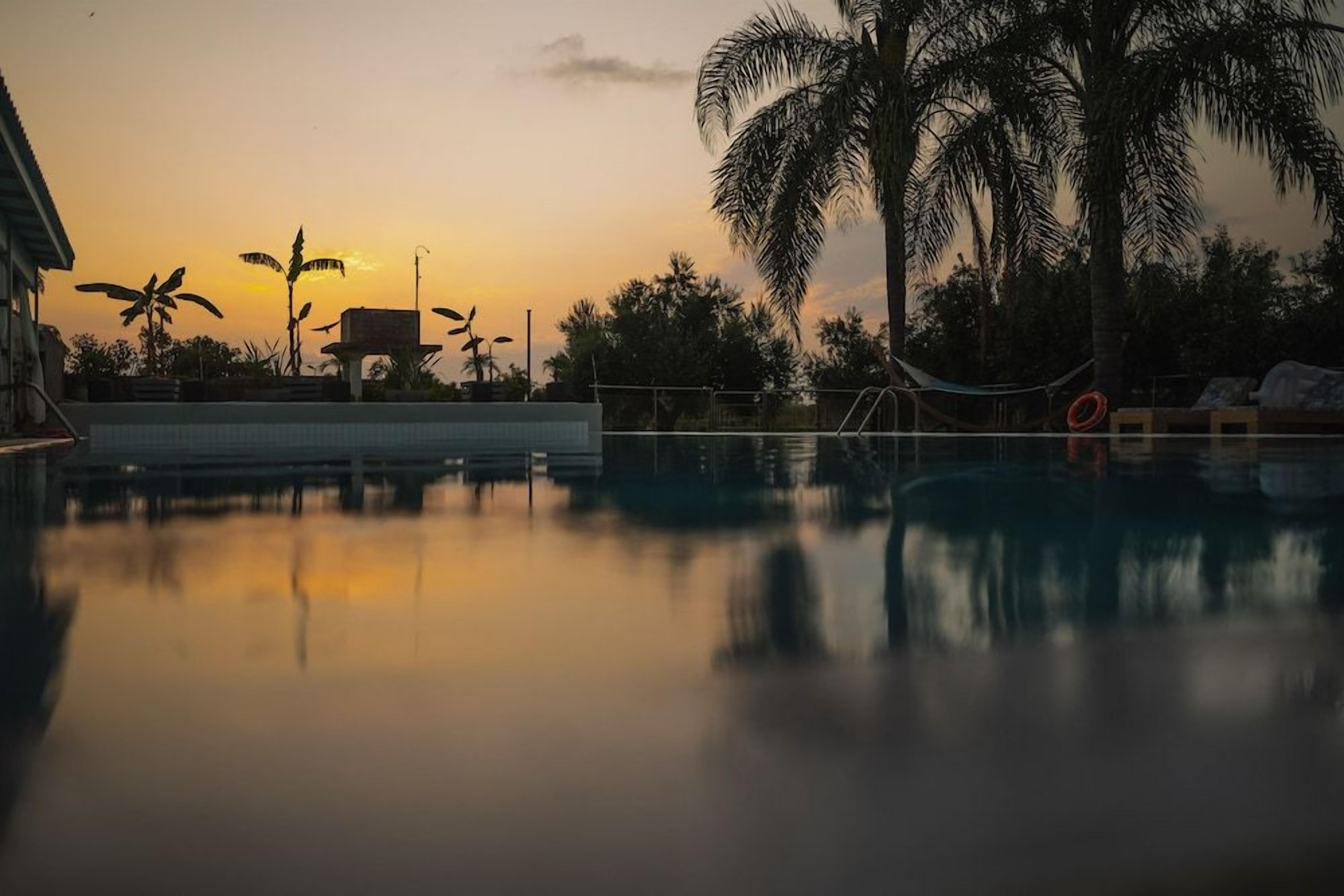 Une piscine avec un hamac et des chaises longues, entourée de palmiers et d’un bâtiment.