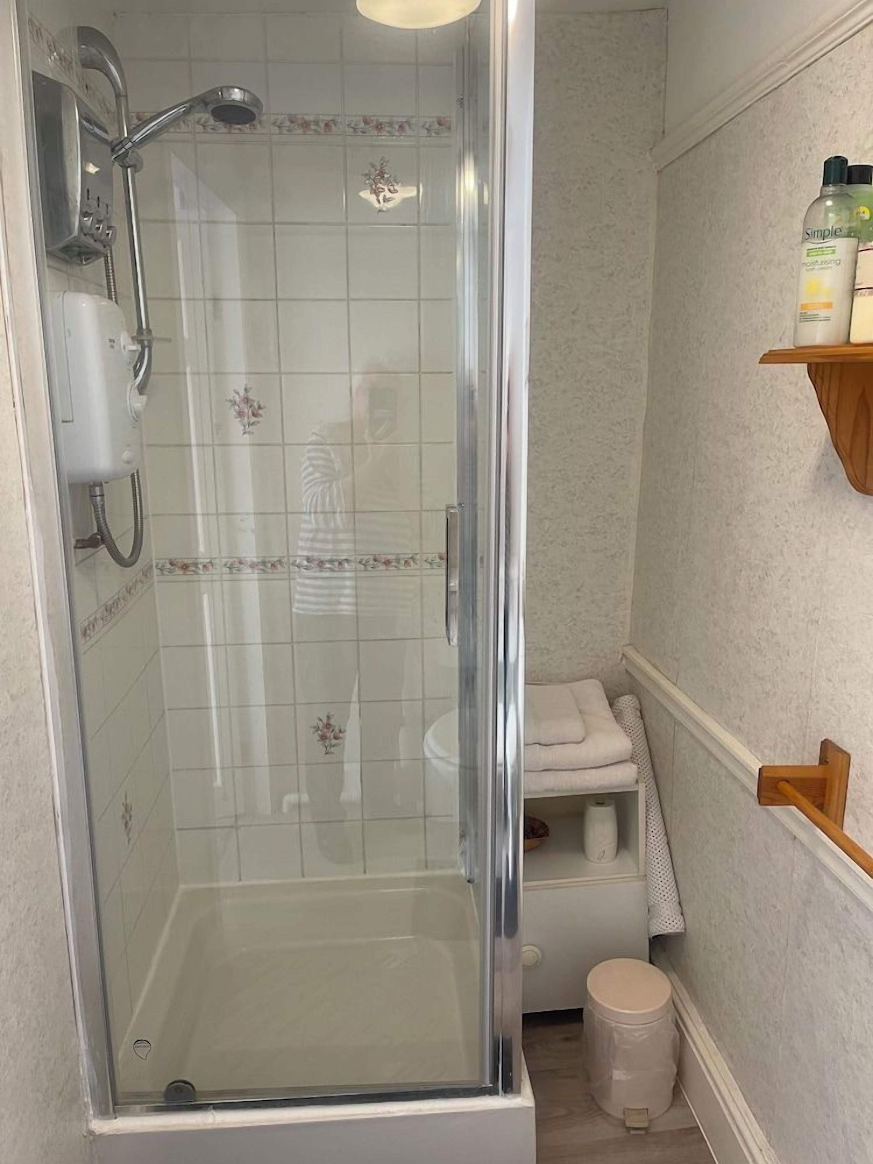 A shower with a glass door, a toilet, and a shelf with toiletries.