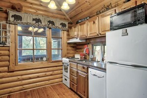 Private kitchen - Gnome Alone (Sevierville)