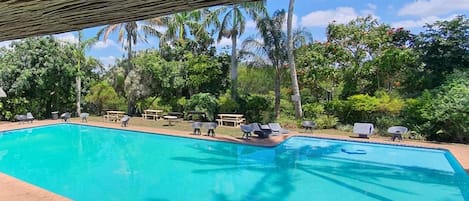 Piscina azul cristalina com espreguiçadeiras e mesas, cercada por vegetação exuberante e palmeiras.