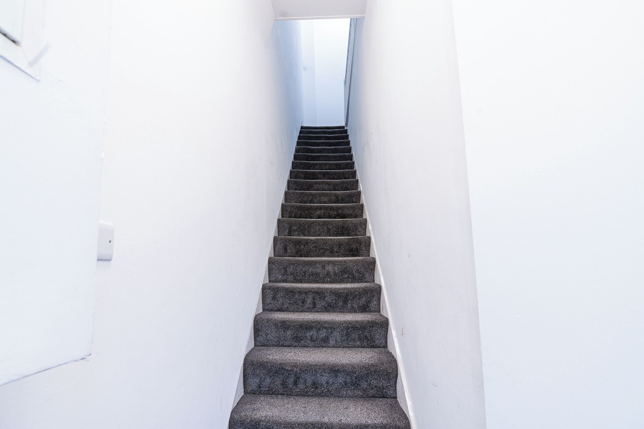 Un escalier dont les marches sont recouvertes de moquette, menant à un palier.
