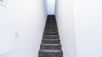 Un escalier dont les marches sont recouvertes de moquette, menant à un palier.