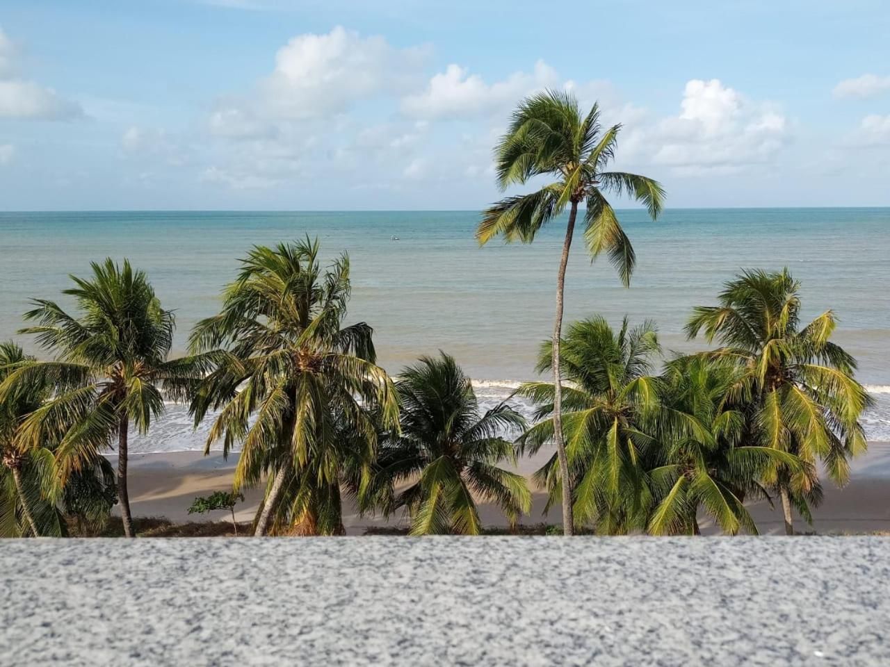 Ein Strand mit Palmen und blauem Himmel.