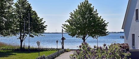 A pathway leading to a body of water with trees and a building on the right.