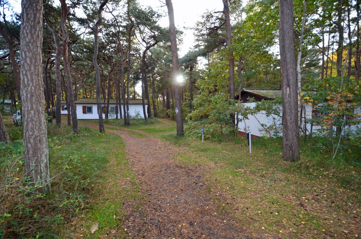 Une zone boisée avec un sentier de terre menant à un bâtiment blanc surmonté d’un toit rouge.