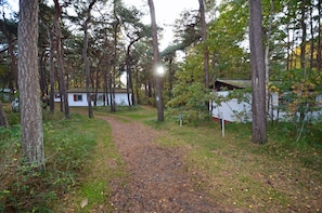 A forested area with a dirt path leading to a white building with a red roof. - Bungalow right on the sandy beach of the Baltic Sea, sleeps up to 4 people with 2 bedrooms (Juliusruh)